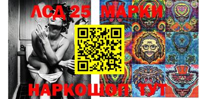 МДПВ Добрянка