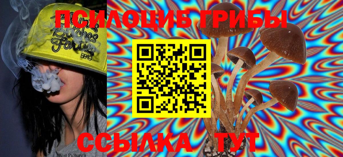 Галлюциногенные грибы Cubensis Кировск